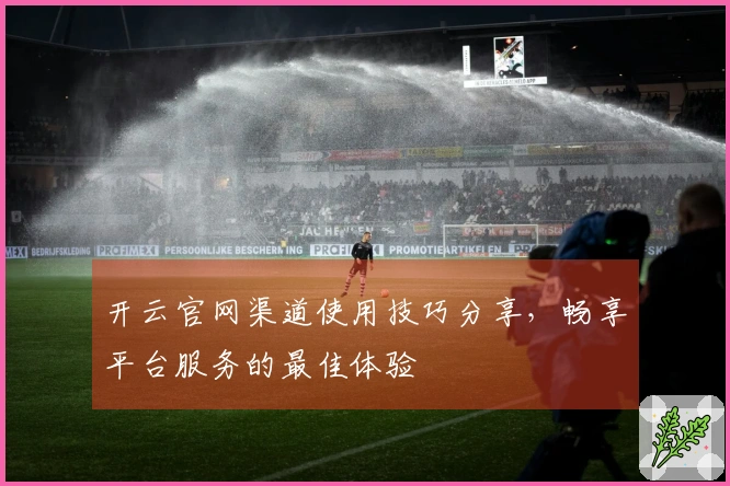 开云官网渠道使用技巧分享，畅享平台服务的最佳体验