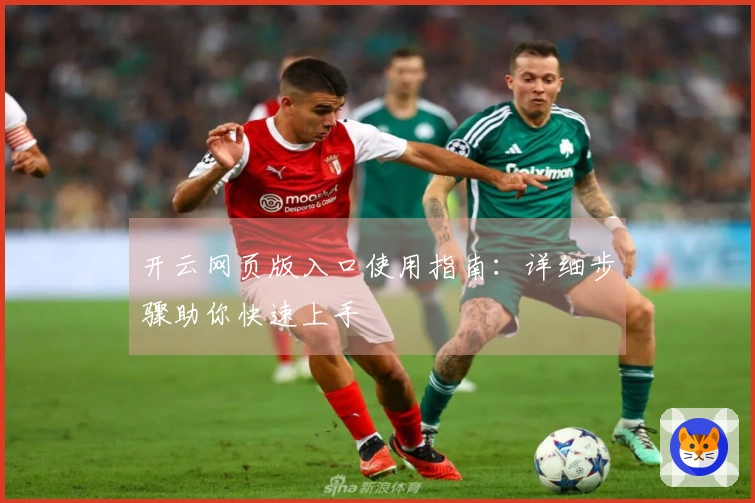开云网页版入口使用指南：详细步骤助你快速上手
