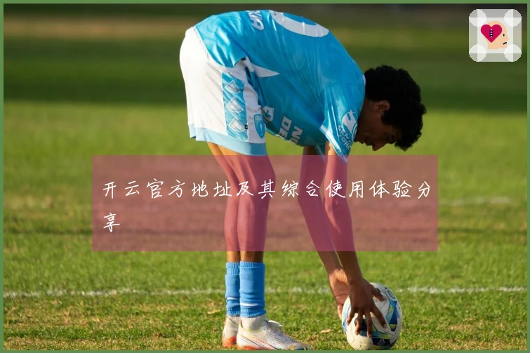 开云官方地址及其综合使用体验分享