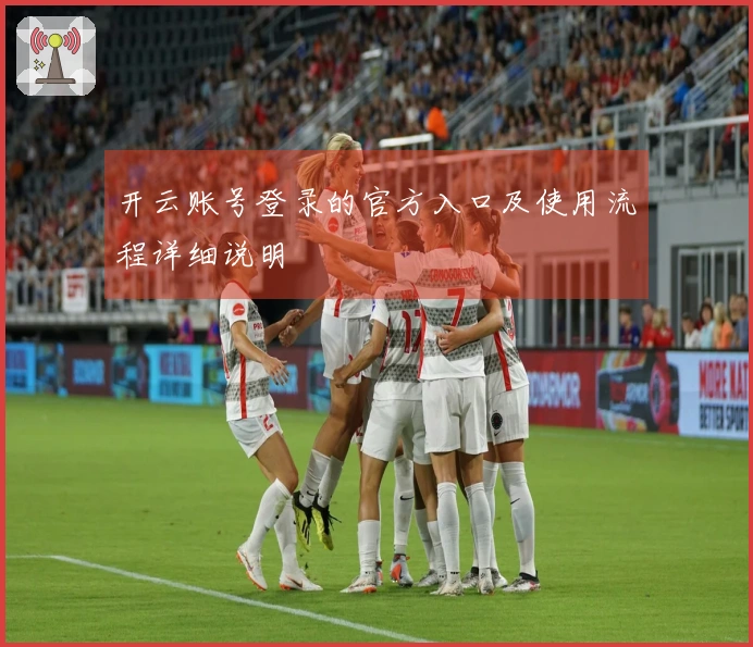 开云账号登录的官方入口及使用流程详细说明